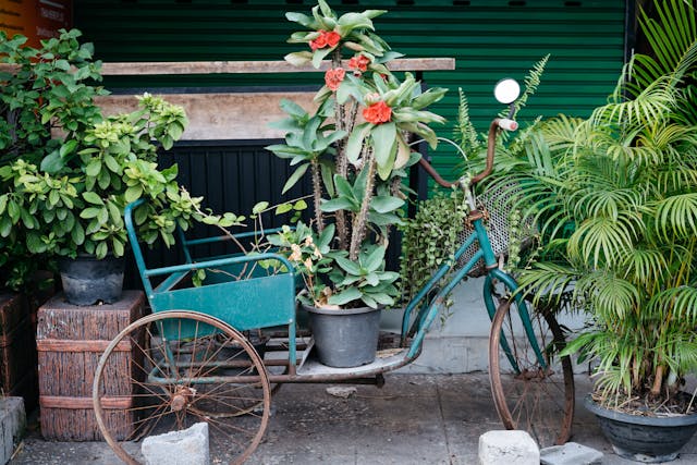 Gartencenter-Geheimtipps: So bringen Sie Ihren Garten zum Blühen