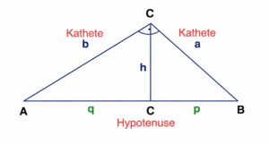 Rechtwinkliges Dreieck Höhe